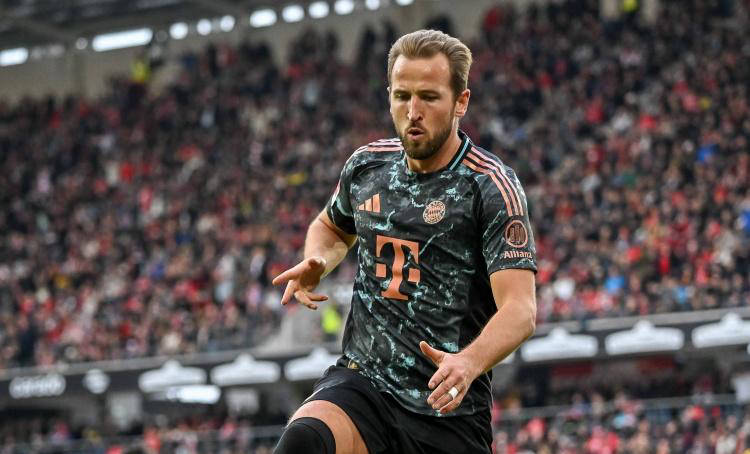 侧翼防守轮 侧翼防守轮